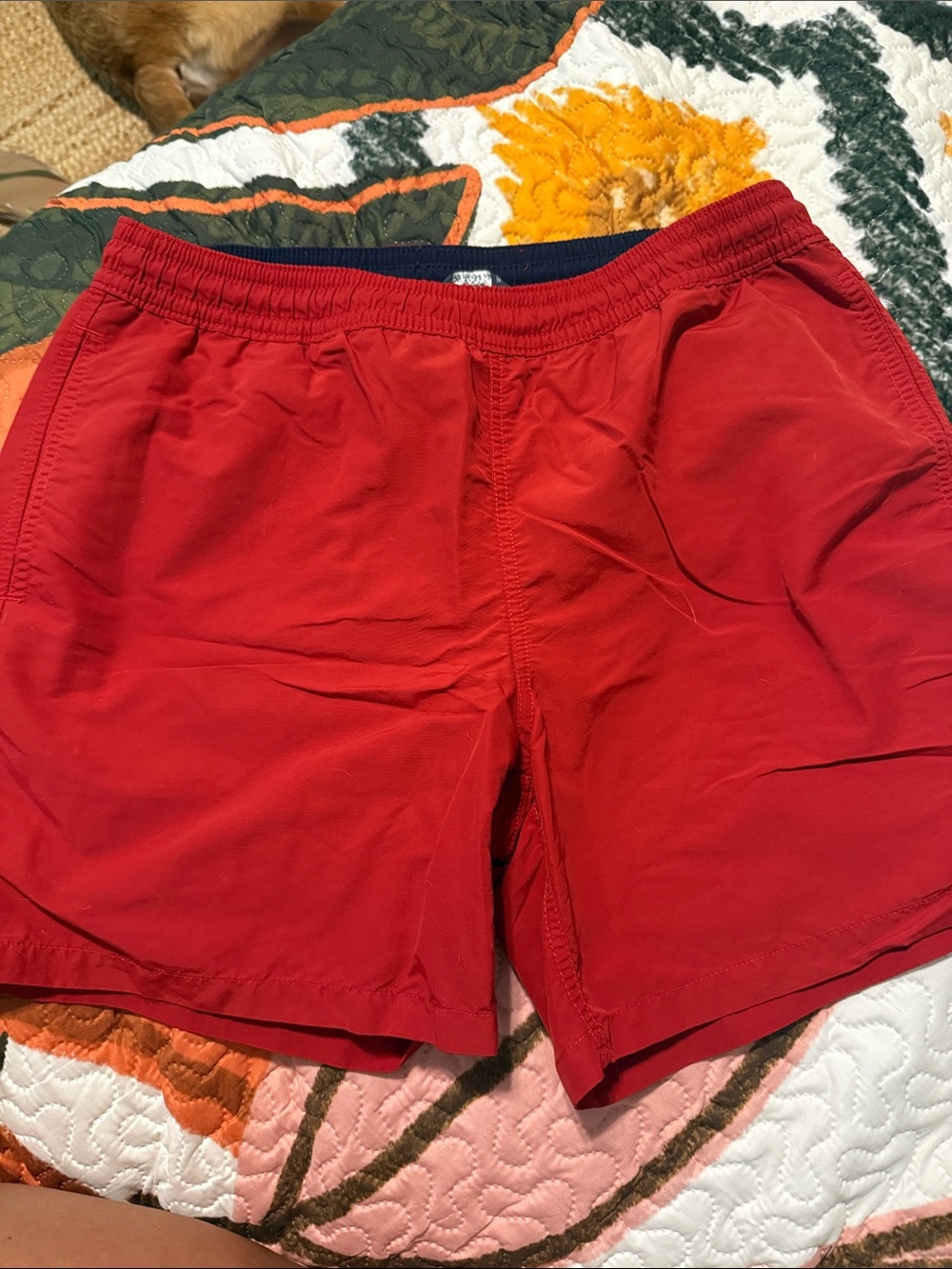Men's Red Polo Swim Trunks
